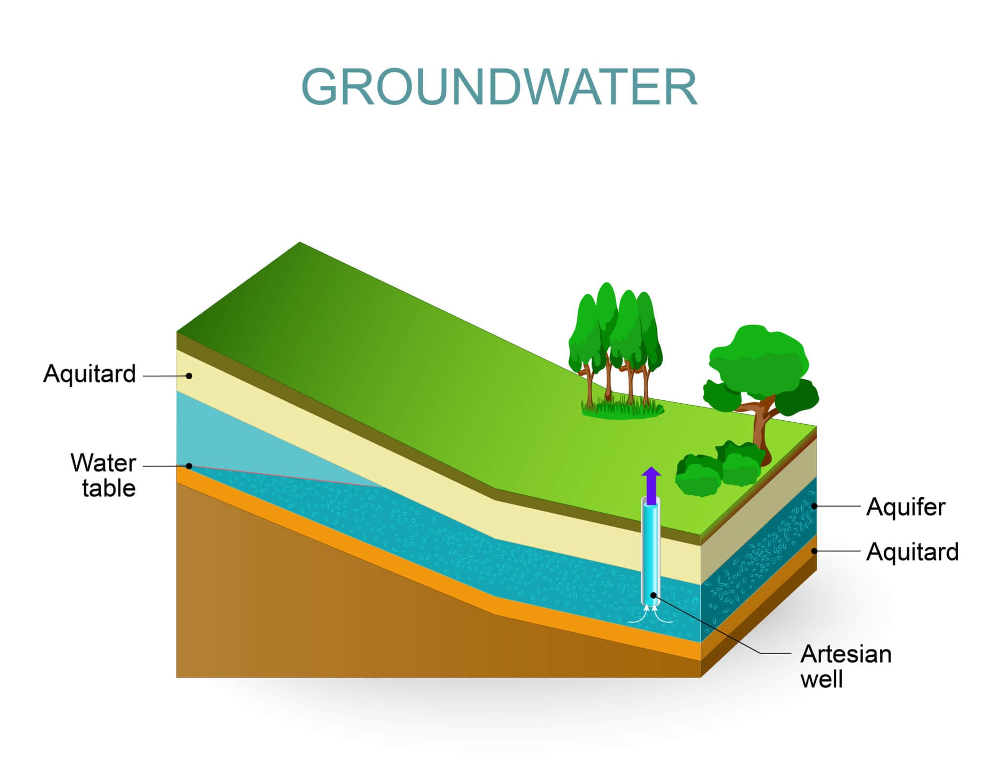 are-you-struggling-with-a-high-water-table-excavation-oregon