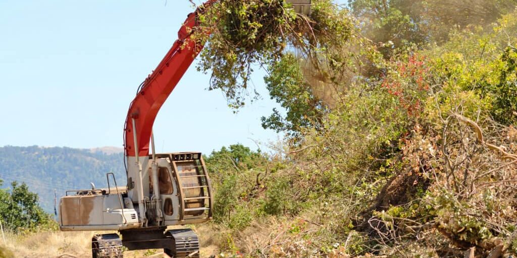 Brush Clearing