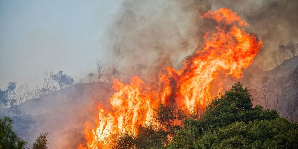 fire mitigation for Southern Oregon